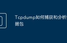 Tcpdump如何捕获和分析数据包