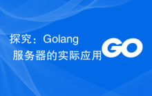 探究:Golang 服务器的实际应用