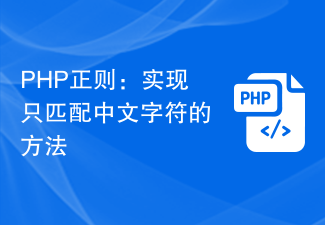 PHP正则：实现只匹配中文字符的方法