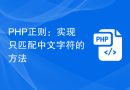 PHP正则：实现只匹配中文字符的方法