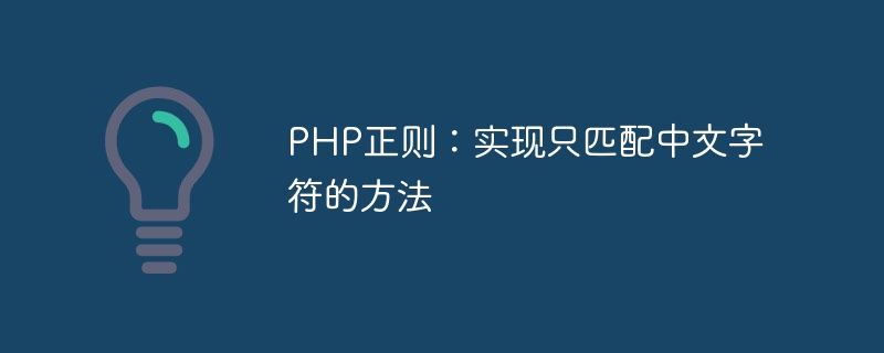 php正则：实现只匹配中文字符的方法