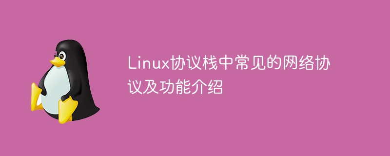 Einführung in gängige Netzwerkprotokolle und Funktionen im Linux-Protokollstapel