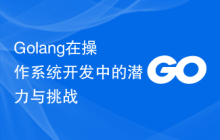 Golang在操作系统开发中的潜力与挑战