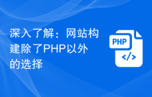 深入了解：网站构建除了PHP以外的选择