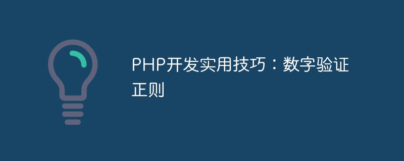 php开发实用技巧：数字验证正则