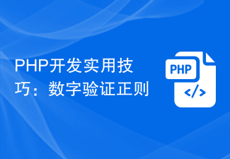 PHP 개발을 위한 실용적인 팁: 디지털 검증 규칙성