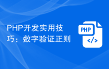 PHP开发实用技巧:数字验证正则