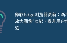 微软Edge浏览器更新:新增“放大图像”功能,提升用户体验
