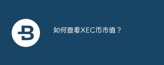 如何查看xec币市值?