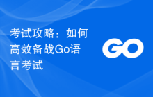 考试攻略:如何高效备战Go语言考试