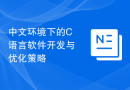 中文环境下的C语言软件开发与优化策略
