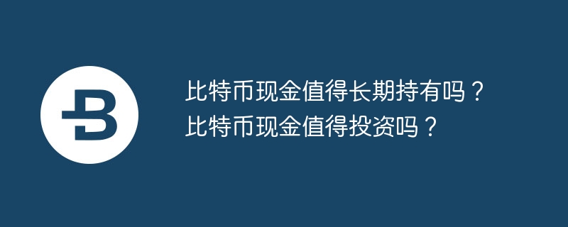 비트코인캐시는 장기적으로 보유할 가치가 있나요? 비트코인 캐시에 투자할 가치가 있나요?