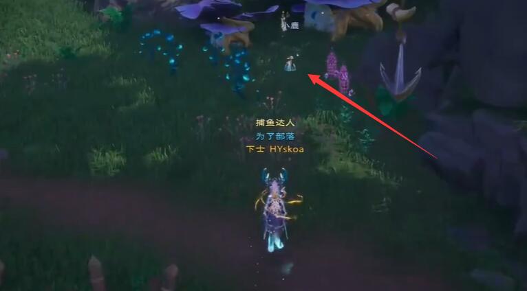 The location of treasure chests in the misty forest of Taris World