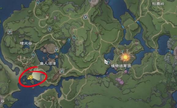 The location of treasure chests in the misty forest of Taris World