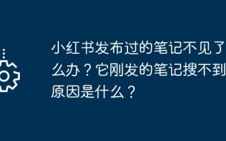 Was soll ich tun, wenn die Notizen, die ich auf Xiaohongshu gepostet habe, fehlen? Was ist der Grund, warum die gerade gesendeten Notizen nicht gefunden werden können?