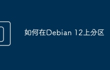 如何在Debian 12上分区