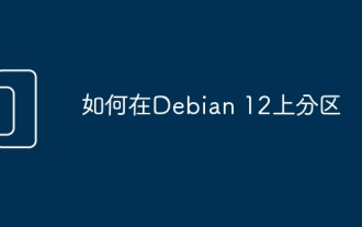 How to partition on Debian 12