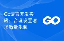 Go语言开发实践：合理设置请求数量限制
