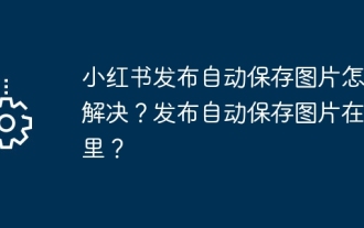 小紅書發布自動儲存圖片怎麼解決?發布自動保存圖片在哪裡?