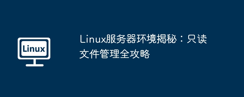 Linux 서버 환경 공개: 읽기 전용 파일 관리에 대한 완벽한 가이드