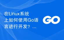 在Linux系统上如何使用Go语言进行开发?