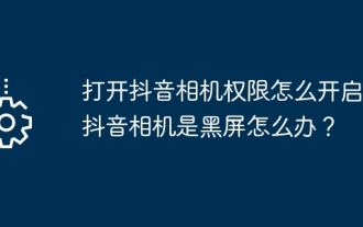 Douyin 카메라 권한을 활성화하는 방법은 무엇입니까? TikTok 카메라 화면이 검은색이면 어떻게 해야 하나요?