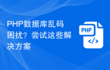 PHP数据库乱码困扰?尝试这些解决方案