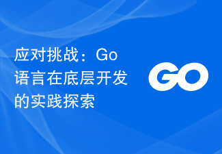 应对挑战：Go语言在底层开发的实践探索