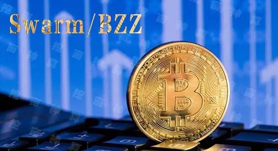 What is the future of BZZ coin? The future development prospects of BZZ coin