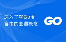 深入了解Go语言中的变量概念