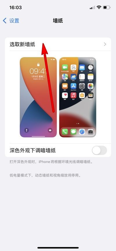 iPhone 13에서 전체 테마 소프트웨어 세트를 변경하는 방법_iPhone 13에서 배경화면 변경에 대한 튜토리얼