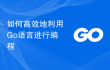 如何高效地利用Go语言进行编程