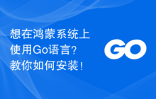 想在鸿蒙系统上使用Go语言？教你如何安装！