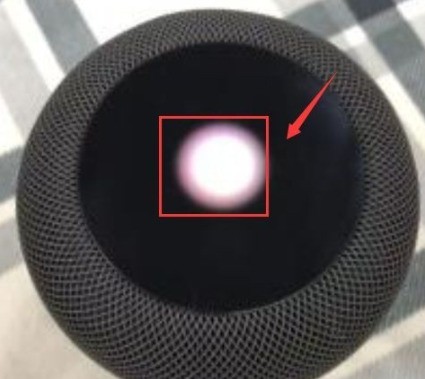 Bagaimana untuk mengikat semula homepod audio Apple ke wifi_Pengenalan kepada cara menyambung semula homepod audio Apple ke rangkaian