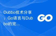 Dubbo技术分享:Go语言与Dubbo的完美结合