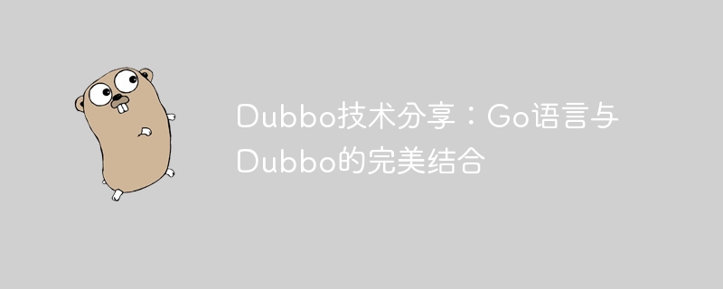 dubbo技术分享：go语言与dubbo的完美结合