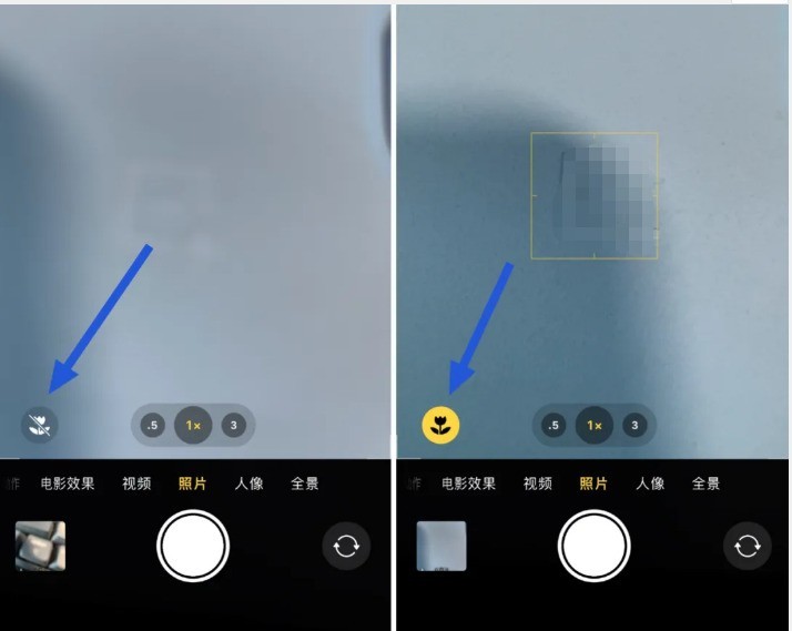 iPhone 13에서 매크로 모드를 켜는 방법_iPhone 13 카메라의 매크로 제어 스위치를 사용하는 방법에 대한 튜토리얼 공유