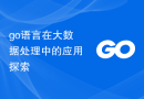 go语言在大数据处理中的应用探索