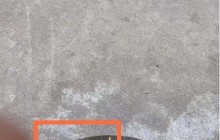 苹果13怎么开启广角镜头_苹果13广角镜头开启教程