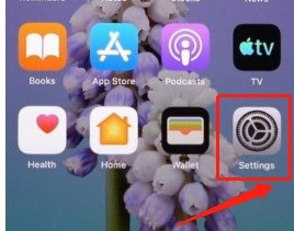 How to change the screen lock time on iPhone 13_A list of steps to customize the screen lock time on iPhone 13