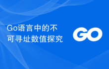 Go语言中的不可寻址数值探究