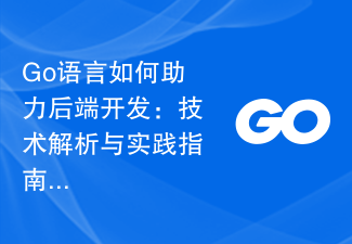 Bahasa How Go membantu pembangunan bahagian belakang: Analisis teknikal dan panduan praktikal