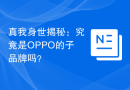 真我身世揭秘：究竟是OPPO的子品牌吗？
