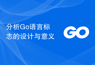 分析Go语言标志的设计与意义