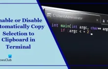 在终端中禁用或启用自动复制所选内容以进行复制