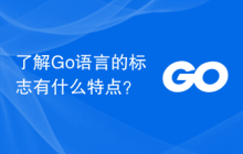 了解Go语言的标志有什么特点?