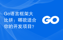Go语言框架大比拼：哪款适合你的开发项目？