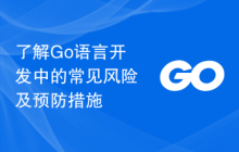 了解Go语言开发中的常见风险及预防措施