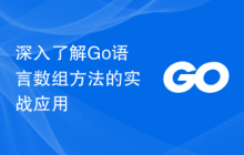 深入了解Go语言数组方法的实战应用
