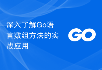In-depth understanding of the practical application of array methods in Go language